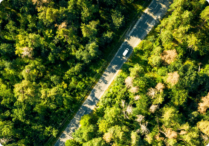 Aerial view of a road cutting through a dense green forest.