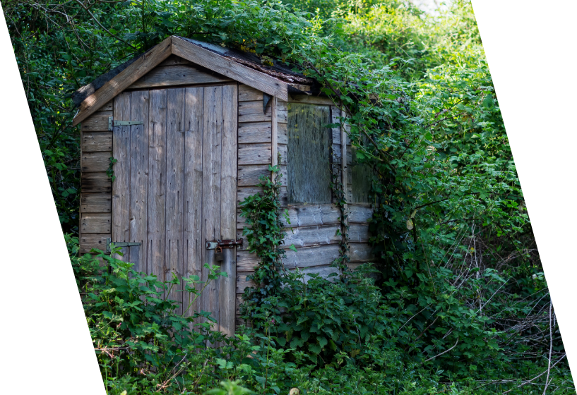 Shed clearance and removal service