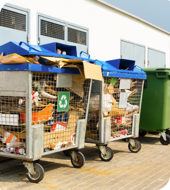 Bins filled with commercial waste.